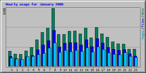 Hourly usage for January 2006