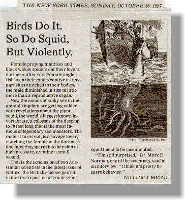Birds Do It. So Do Squid But Violently.